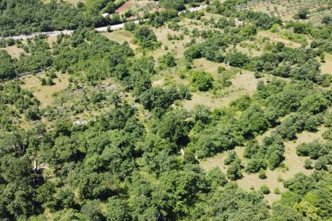 Земельный участок строительного назначения Svetvinčenat, 12.400m2