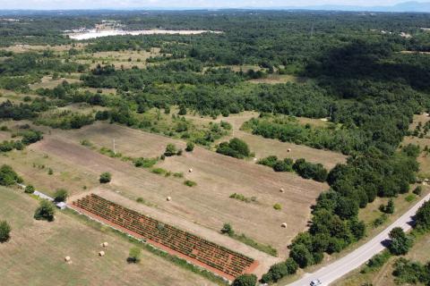 Земельный участок строительного назначения Svetvinčenat, 12.400m2