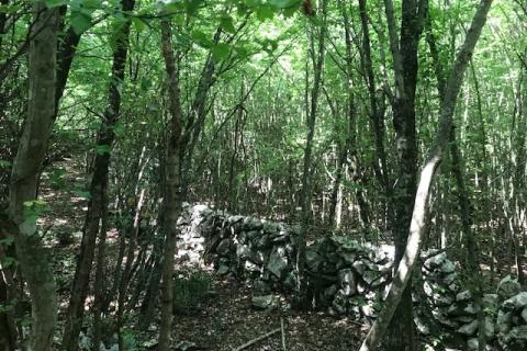 Otok Krk, Kras, poljoprivredno zemljište 2349 m2