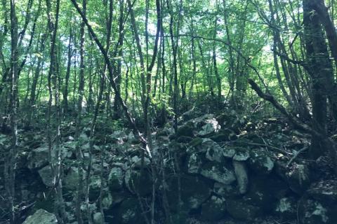 Otok Krk, Kras, poljoprivredno zemljište 2349 m2