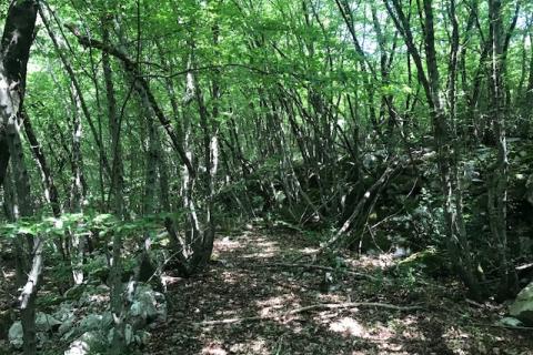 Otok Krk, Kras, poljoprivredno zemljište 2349 m2