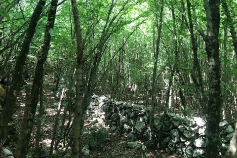 Otok Krk, Kras, poljoprivredno zemljište 2349 m2