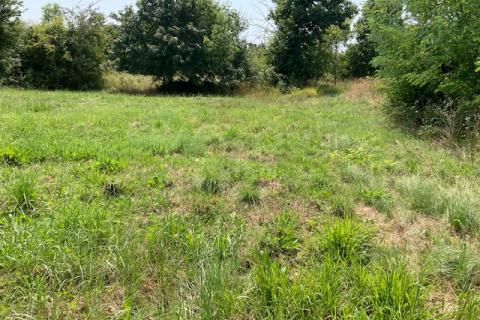 Grožnjan, građevinsko zemljište površine 1418 m2 s idejnim projektom