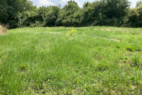 Grožnjan, građevinsko zemljište površine 1418 m2 s idejnim projektom