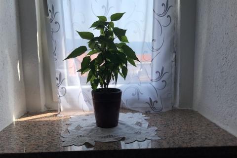 Otok Krk, Šilo bliža okolica, kuća  s pogledom na more, 285 m2