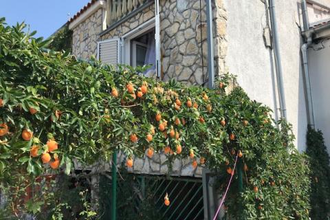 Otok Krk, Šilo bliža okolica, kuća  s pogledom na more, 285 m2