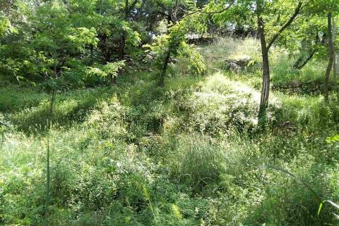 Banjol, Rab, 1.116m2