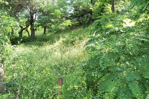 Banjol, Rab, 1.116m2