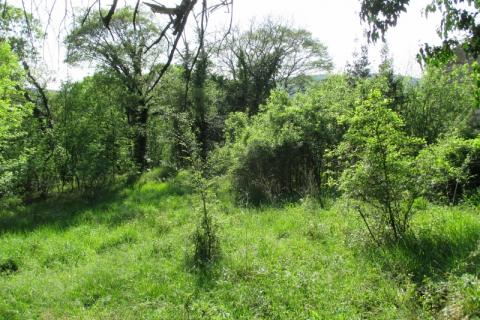 Vinodolska Općina, Bribir, građevinsko zemljište 1100m2 s ruševinom