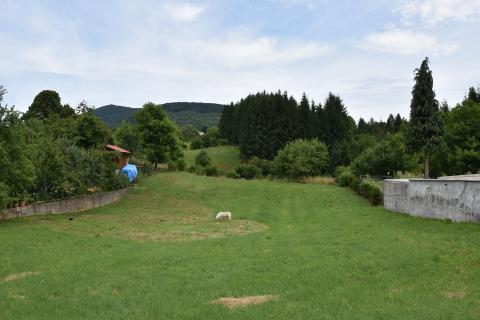 Terreno edificabile Hambarište, Vrbovsko, 2.181m2