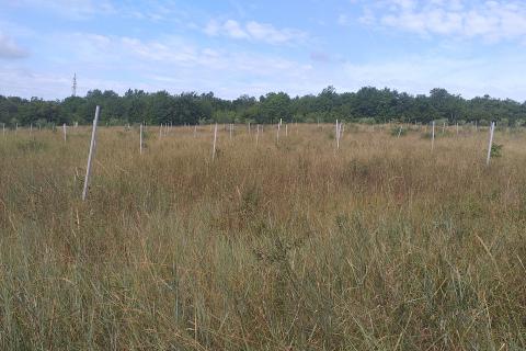 Nova Vas, Brtonigla, 30.434m2