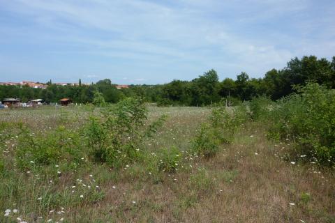 Terreno non edificabile Vrvari, Poreč, 3.000m2