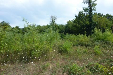 Terreno non edificabile Vrvari, Poreč, 3.000m2