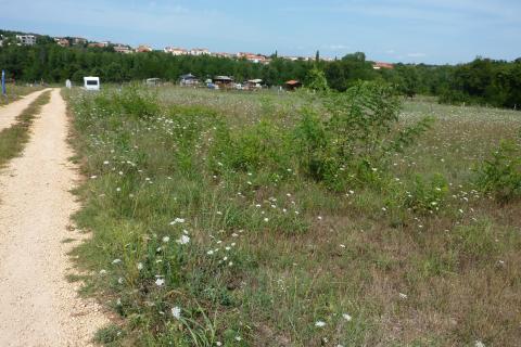 Terreno non edificabile Vrvari, Poreč, 3.000m2