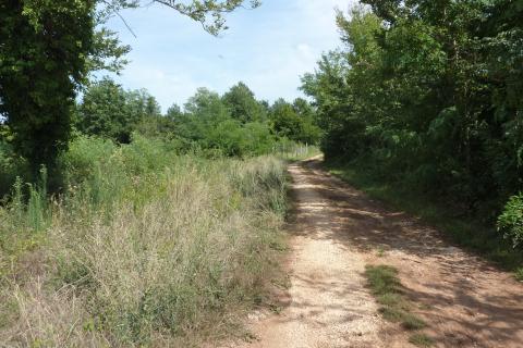 Terreno non edificabile Vrvari, Poreč, 3.000m2