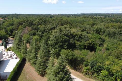 Centar, Pazin, 10.811m2