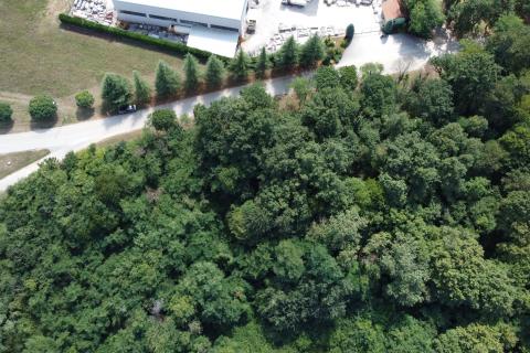 Centar, Pazin, 10.811m2