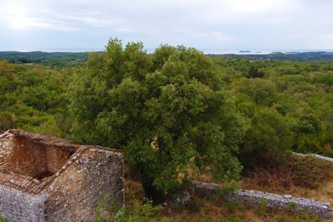 Rovinj,stancija na 58 000m2,otvoreni pogled more