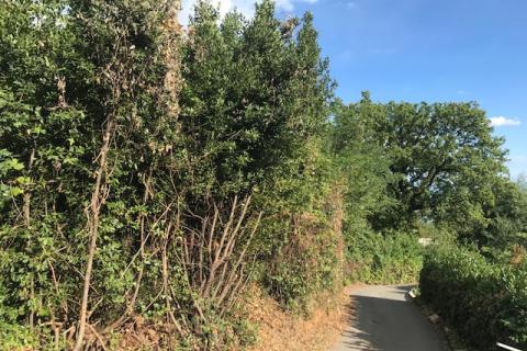 Земельный участок строительного назначения Ika, Opatija - Okolica, 1.945m2