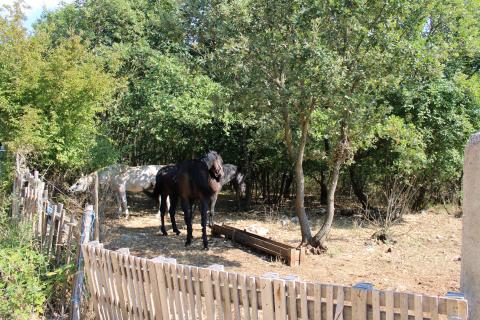 Non-structural plot Sveti Lovreč, 12.796m2