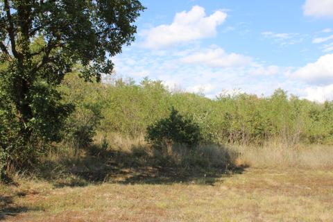 Non-structural plot Sveti Lovreč, 12.796m2