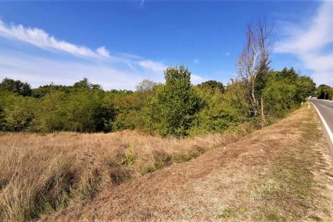 Istra, građevinsko zemljište u okolici Motovuna