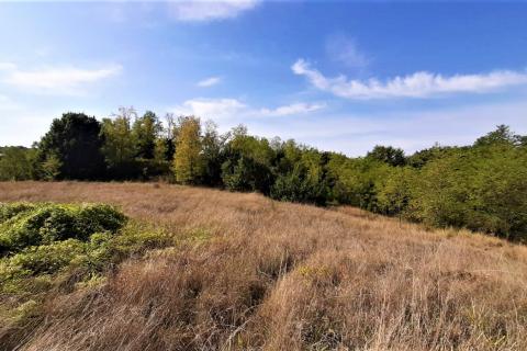 Istra, građevinsko zemljište u okolici Motovuna