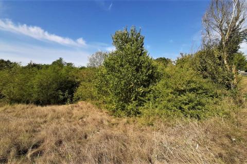 Istra, građevinsko zemljište u okolici Motovuna