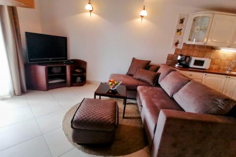 Volosko,jednosobni stan s terasom i pogledom