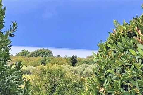 Istra, Umag, Zambratija, komforni stan na prvom katu sa garažom i panoramskim pogledom na more i grad