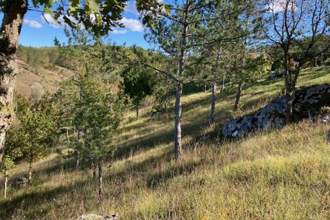 Trviž, zemljište turističke namjene 14374 m2