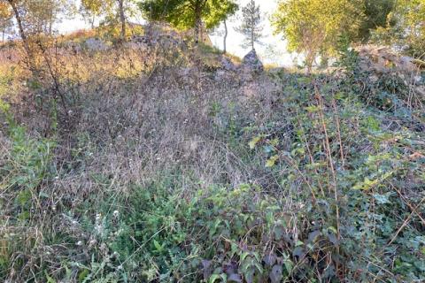 Trviž, zemljište turističke namjene 14374 m2