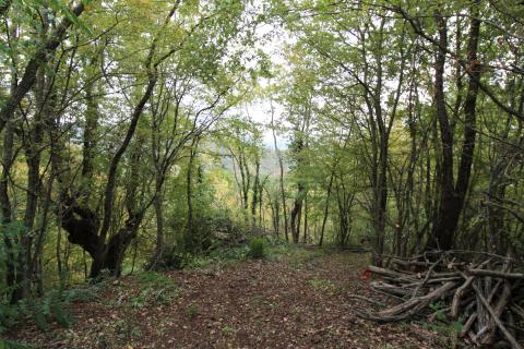 Istra, Oprtalj, imanje s otvorenim pogledom