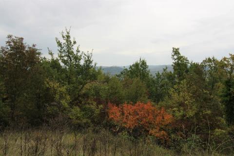 Istra, Oprtalj, imanje s otvorenim pogledom