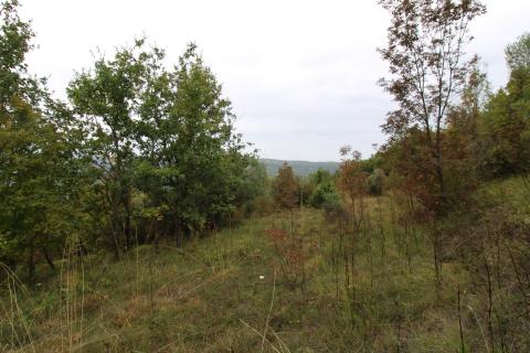 Istra, Oprtalj, imanje s otvorenim pogledom