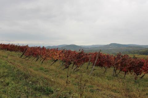 Istra, Oprtalj, imanje s otvorenim pogledom