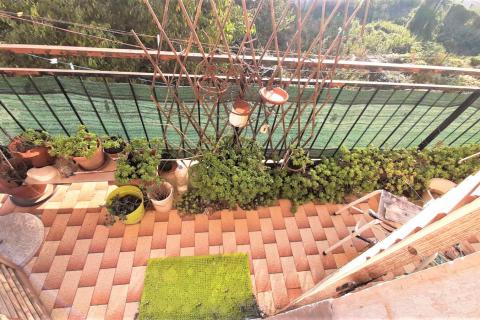 Istra, Buje, autohtona kuća s puno potencijala