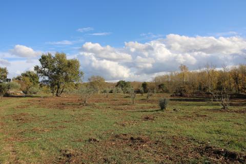 Niet bouwgrond, Labinci, Kaštelir-Labinci, 8.578 m²