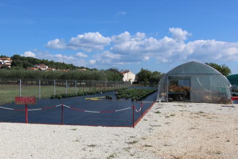 Istra, Poreč, Parcela u okolici Poreča od 10.197 m2 s 3 plastenika