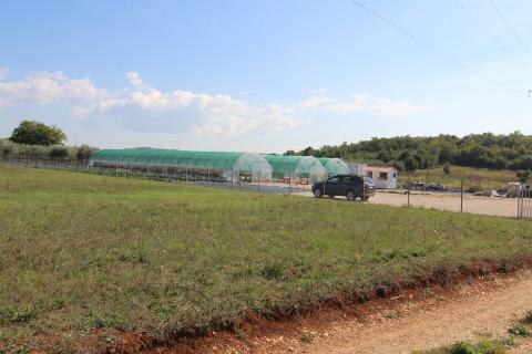 Istra, Poreč, Parcela u okolici Poreča od 10.197 m2 s 3 plastenika
