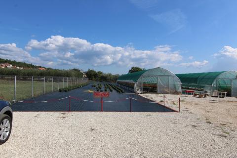 Istra, Poreč, Parcela u okolici Poreča od 10.197 m2 s 3 plastenika