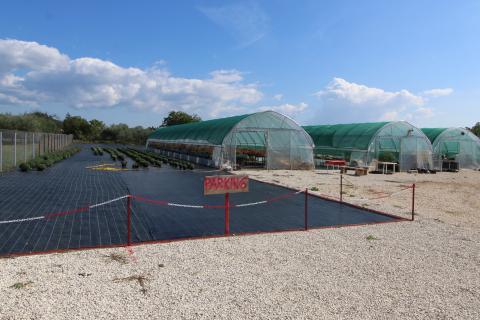 Istra, Poreč, Parcela u okolici Poreča od 10.197 m2 s 3 plastenika