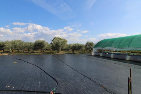 Istra, Poreč, Parcela u okolici Poreča od 10.197 m2 s 3 plastenika