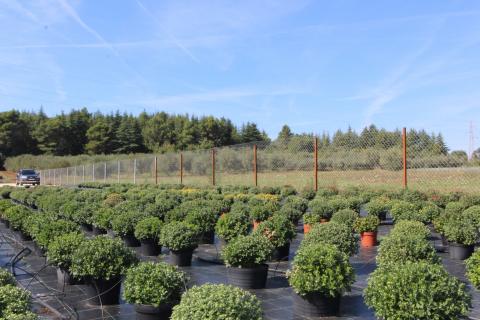 Istra, Poreč, Parcela u okolici Poreča od 10.197 m2 s 3 plastenika