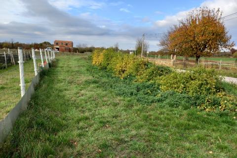 Земельный участок нестроительного назначения Krnica, Marčana, 5.460m2