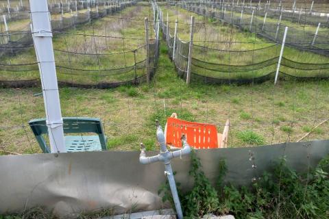 Земельный участок нестроительного назначения Krnica, Marčana, 5.460m2