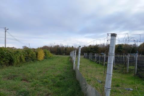 Земельный участок нестроительного назначения Krnica, Marčana, 5.460m2