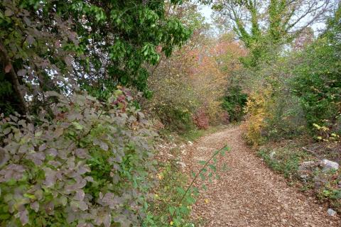 Земельный участок нестроительного назначения Krnica, Marčana, 6.736m2