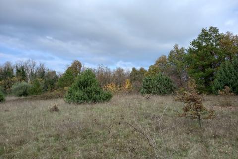 Земельный участок нестроительного назначения Krnica, Marčana, 6.736m2