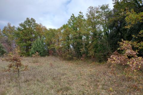 Земельный участок нестроительного назначения Krnica, Marčana, 6.736m2